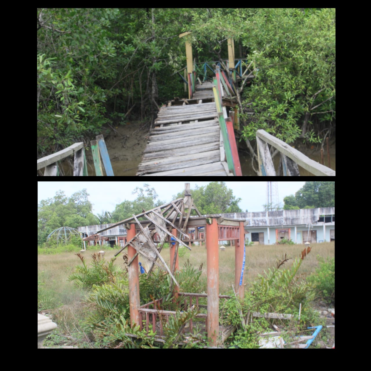 Kondisi terkini Wisata Mangrove dan Ancol Beach Kuala Tungkal. Foto : etivinews