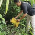 Polisi saat amankan barang bukti dan lakukan penangkapan Jum'at (12/09/25)