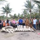 Wabup Katamso bersama sejumlah pejabat dan masyarakat saat kunjungi lokasi penemuan kerangka hewan Selasa (11/11/25)